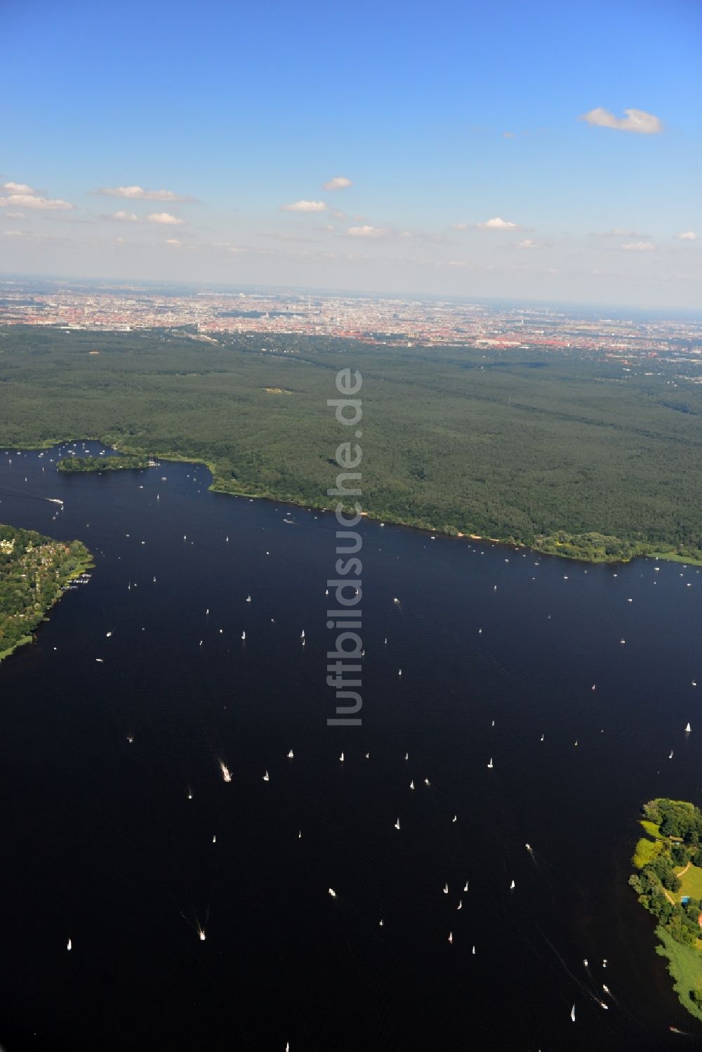 Berlin von oben - Landschaft entlang der Uferbereiche des Großen Wannsee mit dem Grunewald im Stadtbezirk Charlottenburg-Wilmersdorf von Berlin