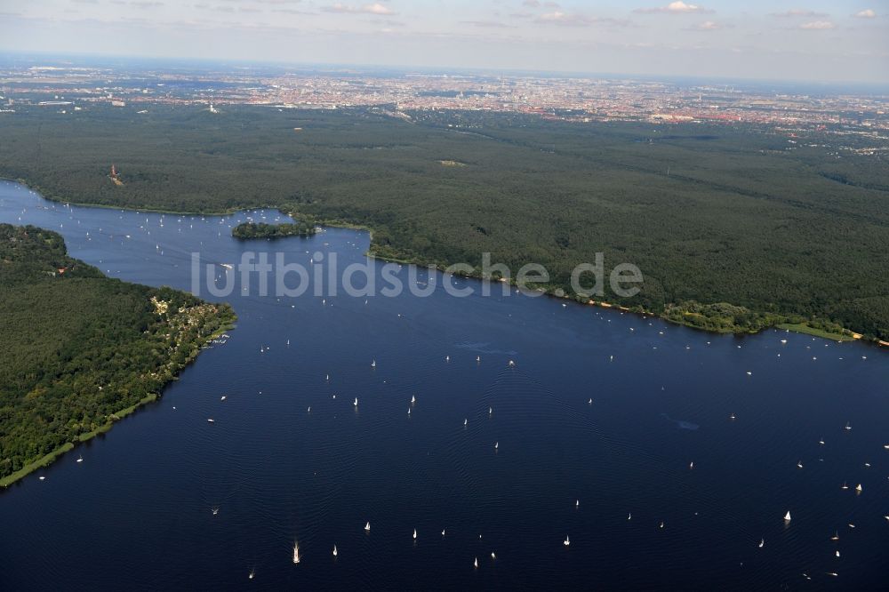 Luftbild Berlin - Landschaft entlang der Uferbereiche des Großen Wannsee mit dem Grunewald im Stadtbezirk Charlottenburg-Wilmersdorf von Berlin