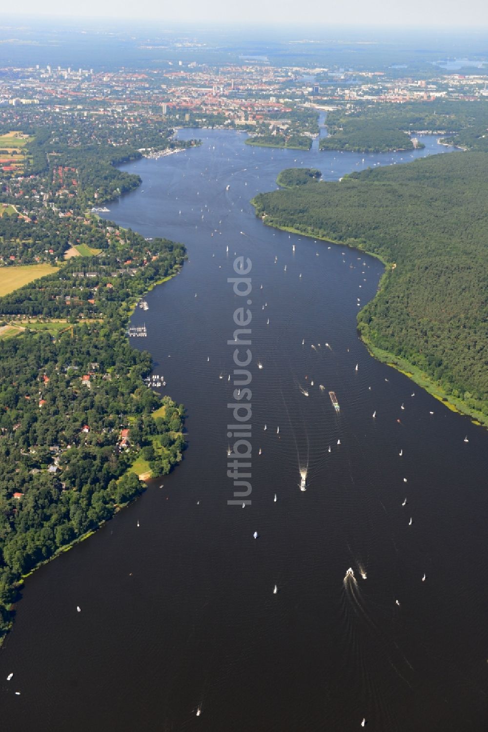 Berlin aus der Vogelperspektive: Landschaft entlang der Uferbereiche des Großen Wannsee mit dem Grunewald im Stadtbezirk Charlottenburg-Wilmersdorf von Berlin