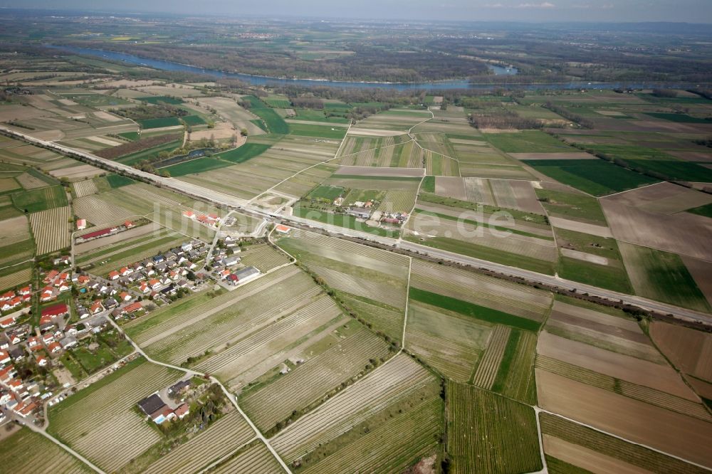 Ludwigshöhe aus der Vogelperspektive: Landschaft mit Feld- und Acker- Flächen in Ludwigshöhe im Bundesland Rheinland-Pfalz