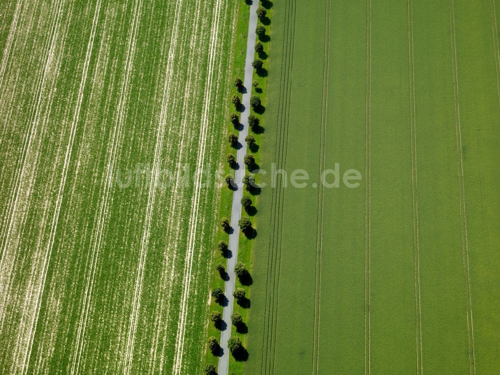 Pfrondorf von oben - Landschaft mit Feld - Strukturen auf sommerlich , abgeernteten Feldern bei Pfrondorf im Bundesland Baden-Württemberg BW