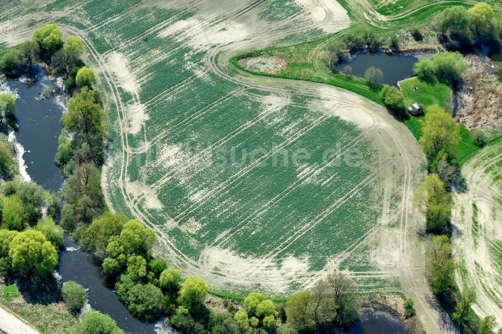 Werneuchen OT Seefeld aus der Vogelperspektive: Landschaft mit Feld und Teich bei Seefeld