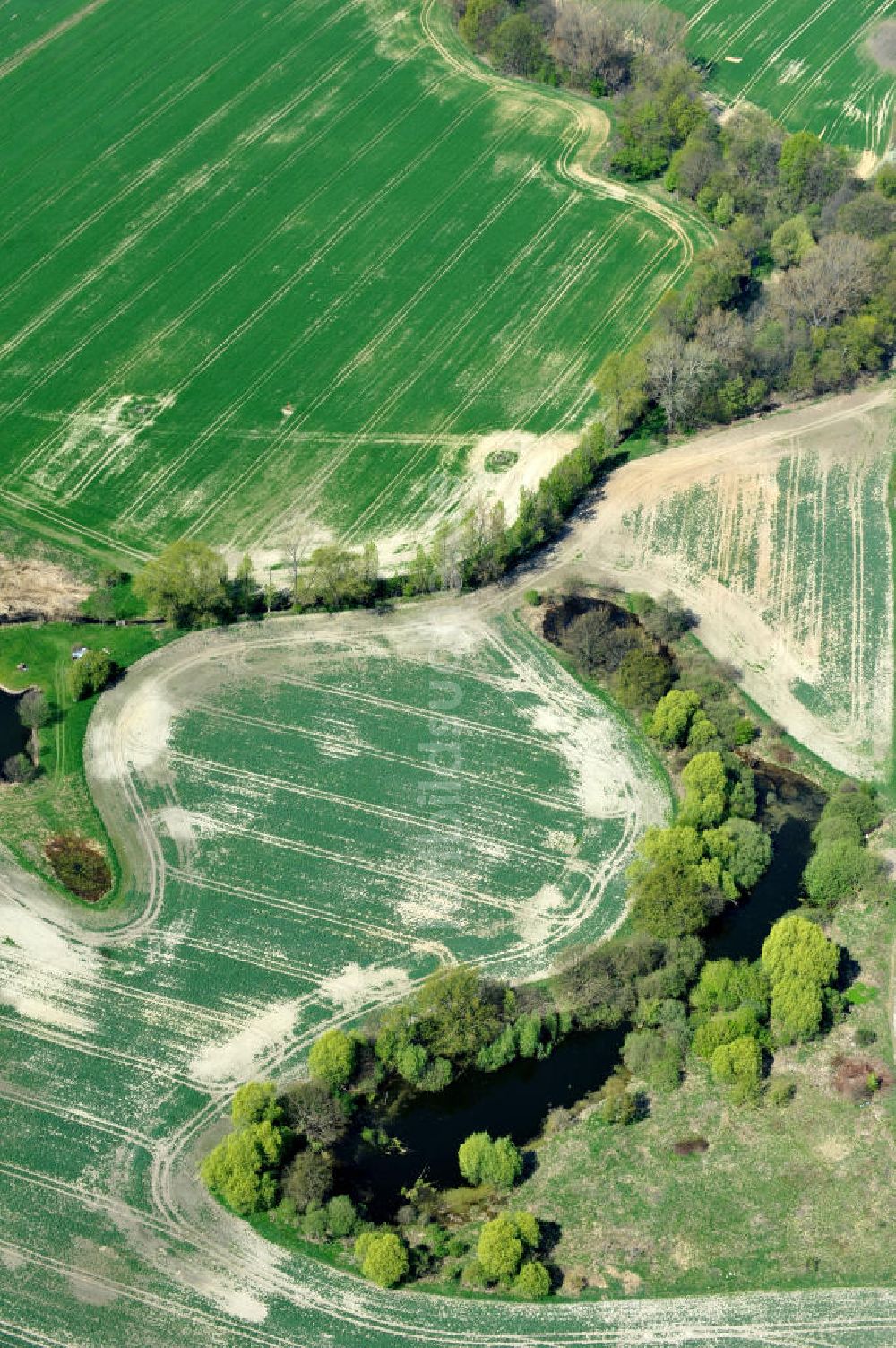 Luftbild Werneuchen OT Seefeld - Landschaft mit Feld und Teich bei Seefeld