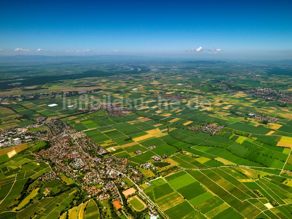 Heitersheim aus der Vogelperspektive: Landschaft von Feldern der Landwirtschaft bei Heitersheim im Bundesland Baden-Württemberg