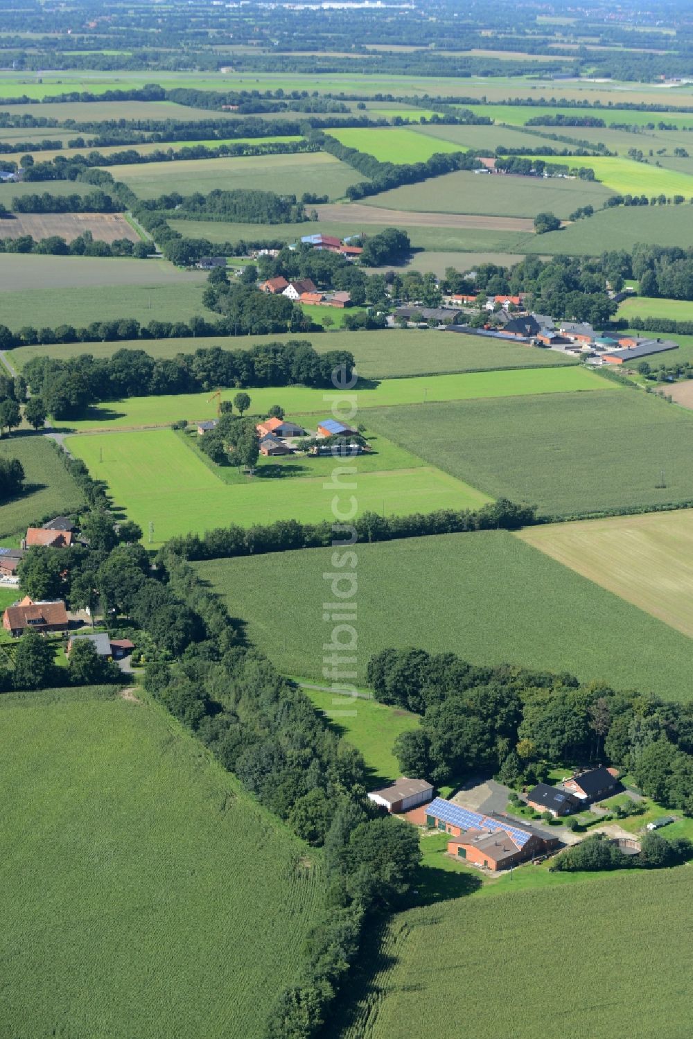 Luftaufnahme Hörstel - Landschaft mit Feldparzellen und Bauerngehöften an bestellten Feldern in Hörstel im Bundesland Nordrhein-Westfalen