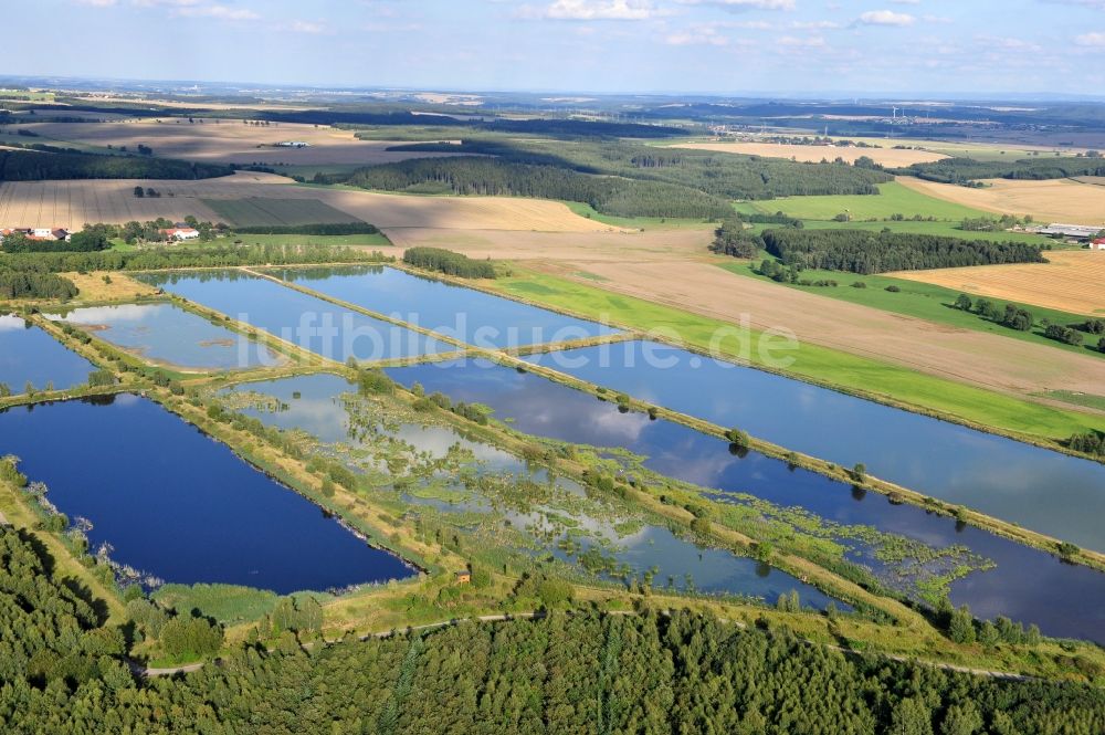 Finkenmühle aus der Vogelperspektive: Landschaft mit Fischzuchtteiche bei Finkenmühle im Bundesland Thüringen