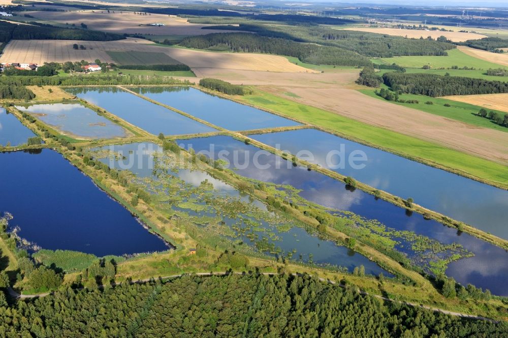 Luftbild Finkenmühle - Landschaft mit Fischzuchtteiche bei Finkenmühle im Bundesland Thüringen