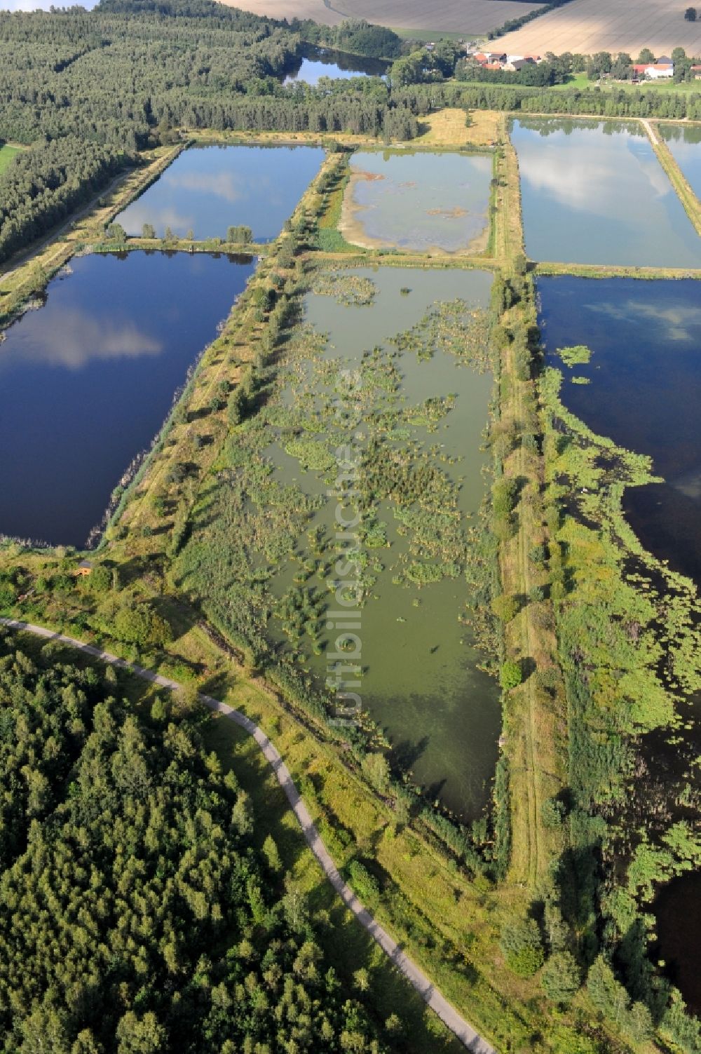 Luftaufnahme Finkenmühle - Landschaft mit Fischzuchtteiche bei Finkenmühle im Bundesland Thüringen