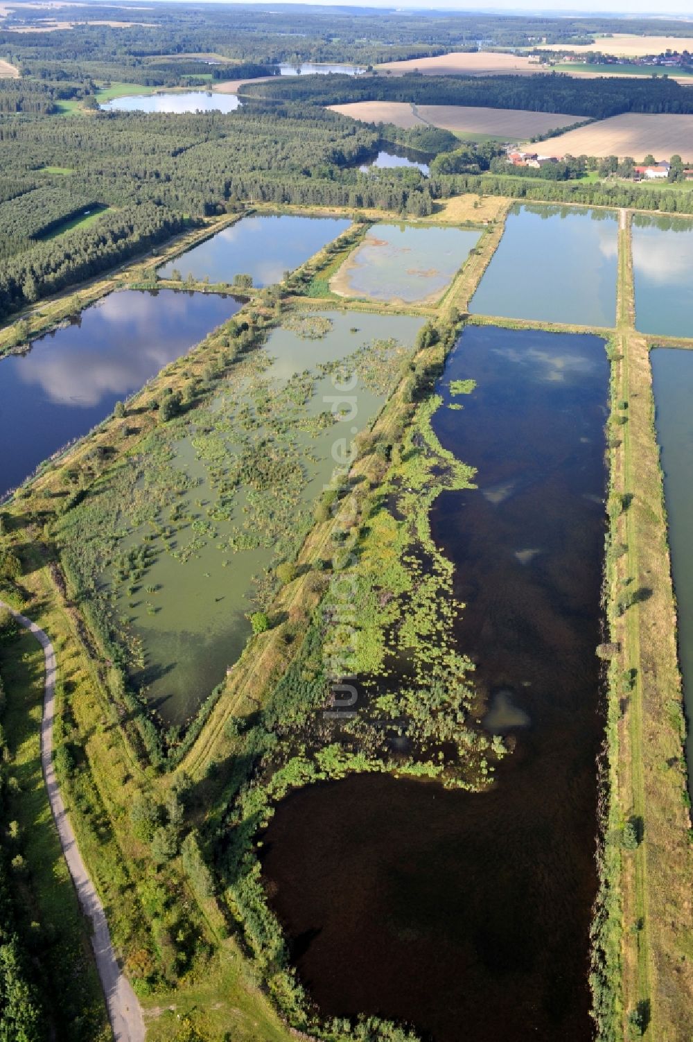 Finkenmühle von oben - Landschaft mit Fischzuchtteiche bei Finkenmühle im Bundesland Thüringen