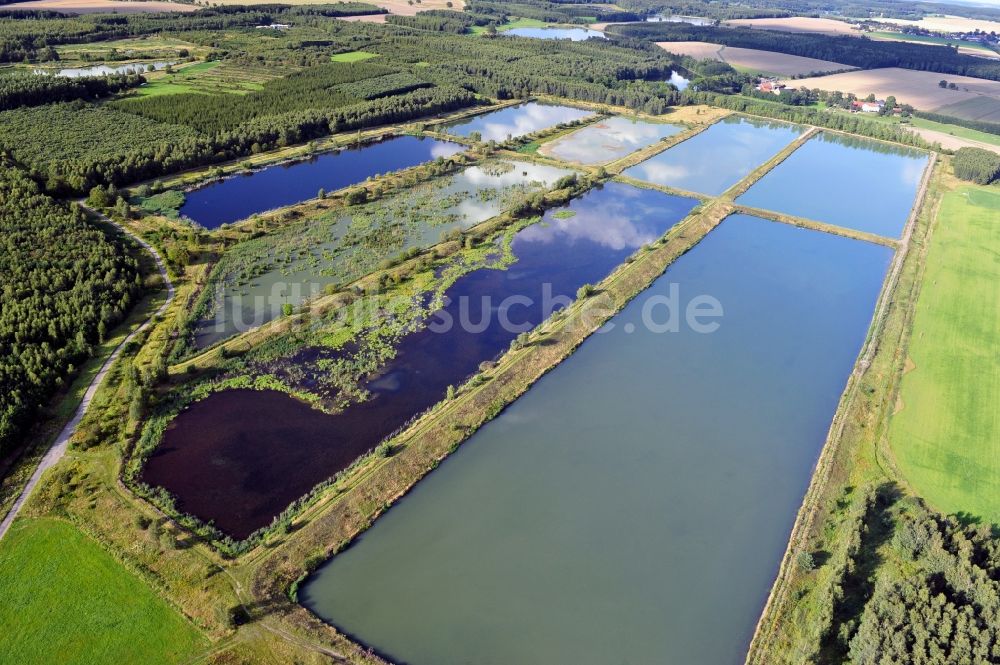 Finkenmühle aus der Vogelperspektive: Landschaft mit Fischzuchtteiche bei Finkenmühle im Bundesland Thüringen