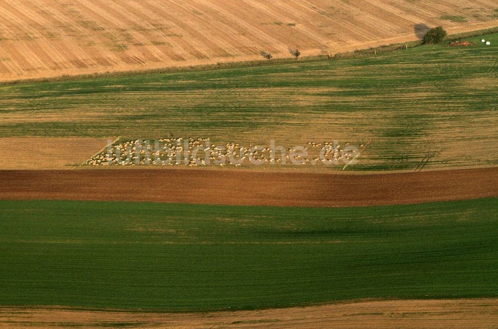 Luftbild Mühlhausen - Landschaft / Herbstlandschaft abgeernteter Felder am Stadtrand von Mühlhausen im Bundesland Thüringen