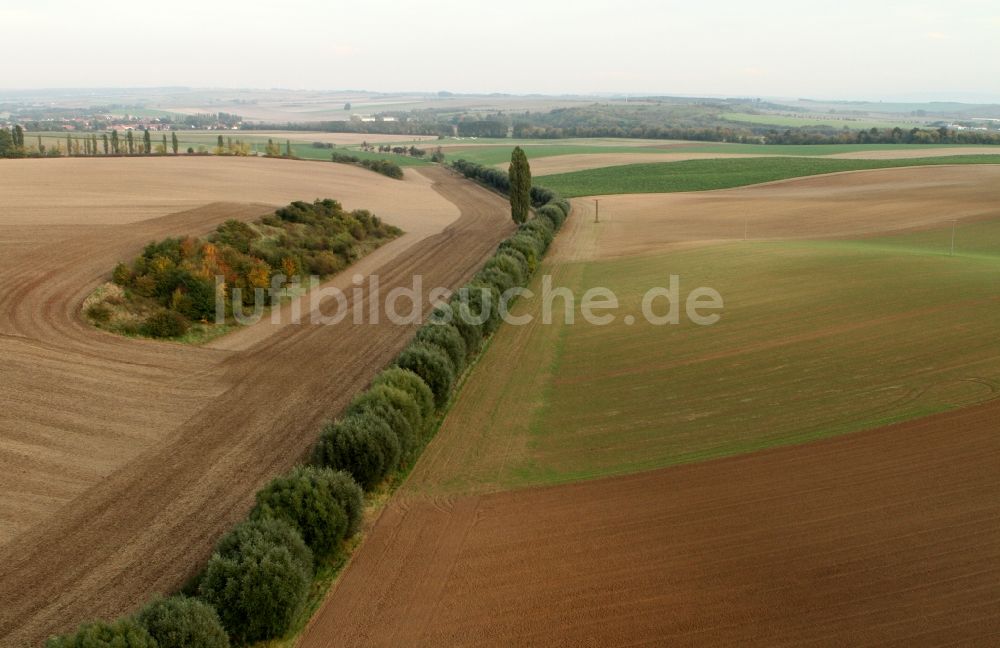 Mühlhausen aus der Vogelperspektive: Landschaft / Herbstlandschaft abgeernteter Felder am Stadtrand von Mühlhausen im Bundesland Thüringen