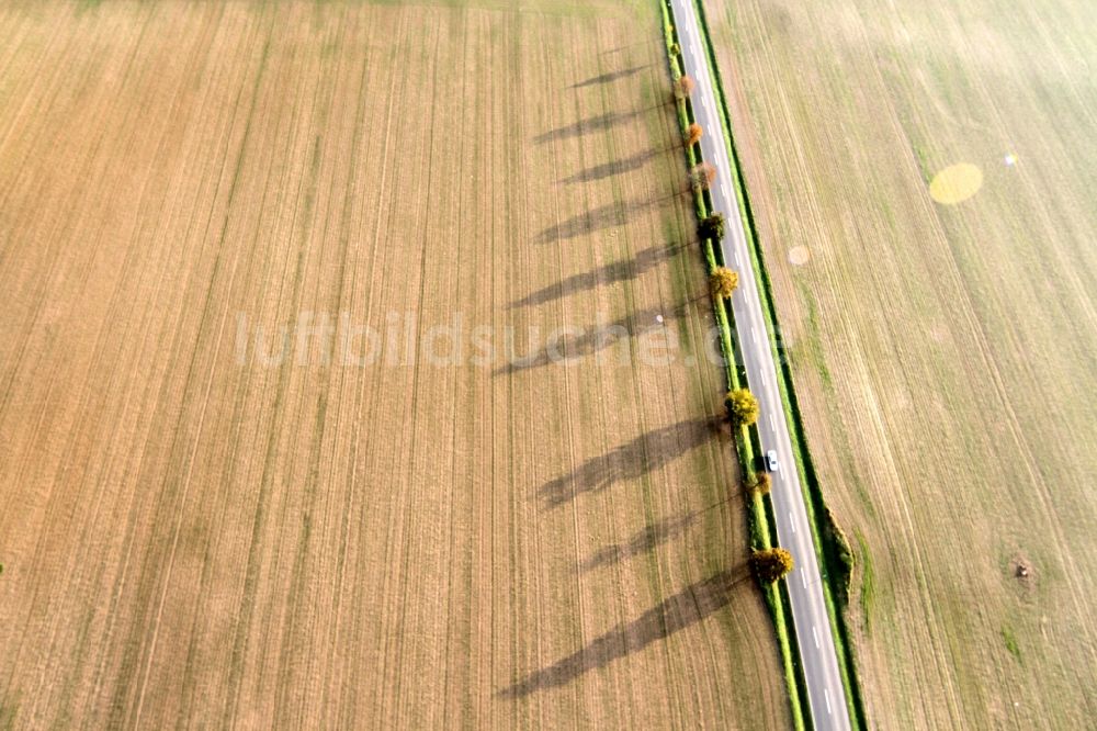 Mühlhausen aus der Vogelperspektive: Landschaft / Herbstlandschaft abgeernteter Felder am Stadtrand von Mühlhausen im Bundesland Thüringen