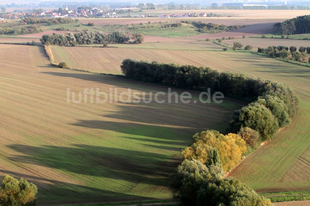 Luftbild Mühlhausen - Landschaft / Herbstlandschaft abgeernteter Felder am Stadtrand von Mühlhausen im Bundesland Thüringen