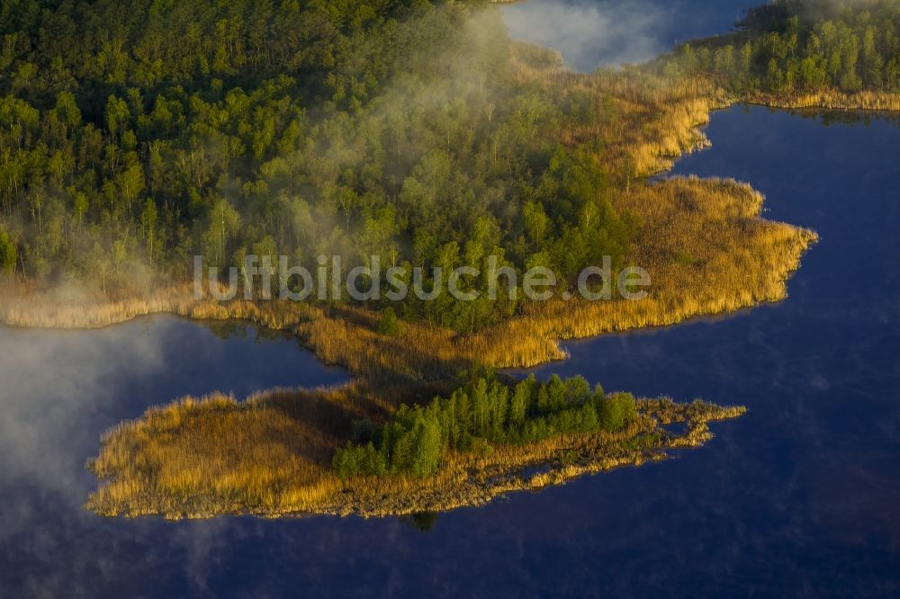 Roggentin aus der Vogelperspektive: Landschaft des Jäthensee in Roggentinim Bundesland Mecklenburg-Vorpommern