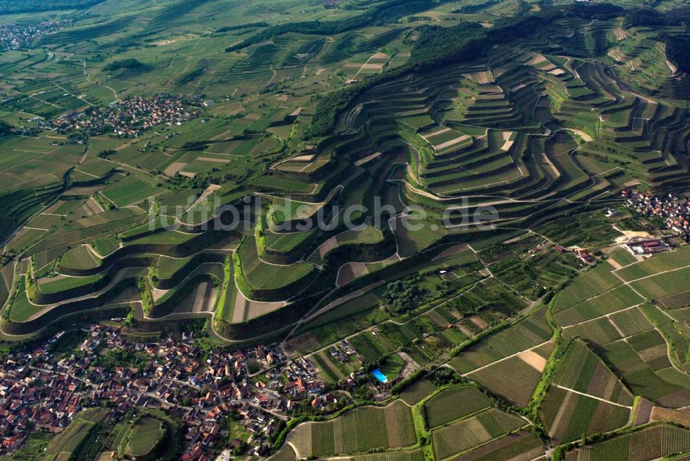 Vogtsburg im Kaiserstuhl von oben - Landschaft des Kaiserstuhls und Ortsansicht von Schelingen in Vogtsburg im Kaiserstuhl im Bundesland Baden-Württemberg