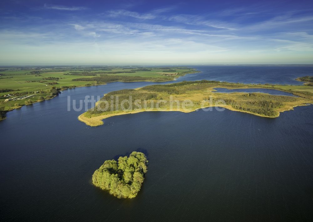 Rechlin aus der Vogelperspektive: Landschaft am Kleinen Müritz See mit Baumwall Herzinsel an der Mecklenburger Seenplatte in Rechlin im Bundesland Mecklenburg-Vorpommern