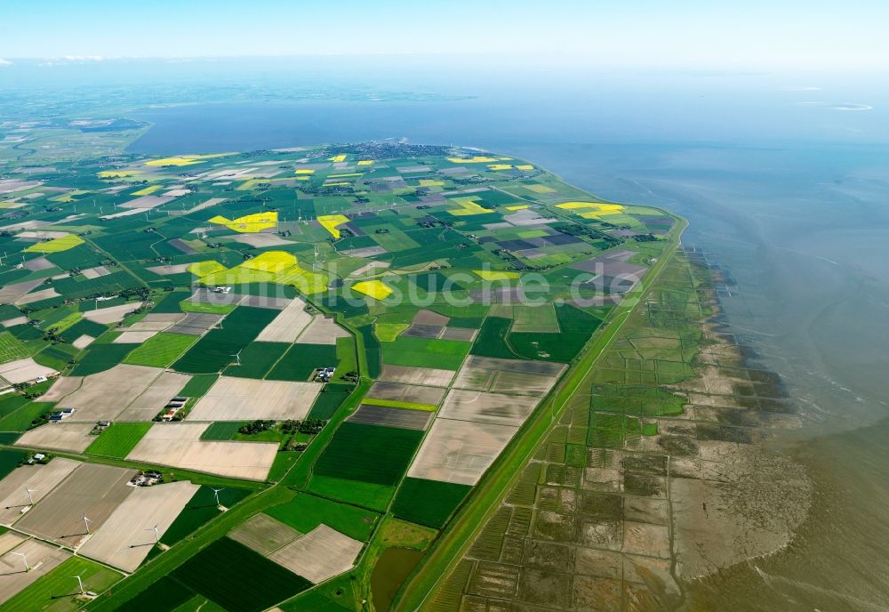 Büsum aus der Vogelperspektive: Landschaft und Küste um Büsum im Bundesland Schleswig-Holstein