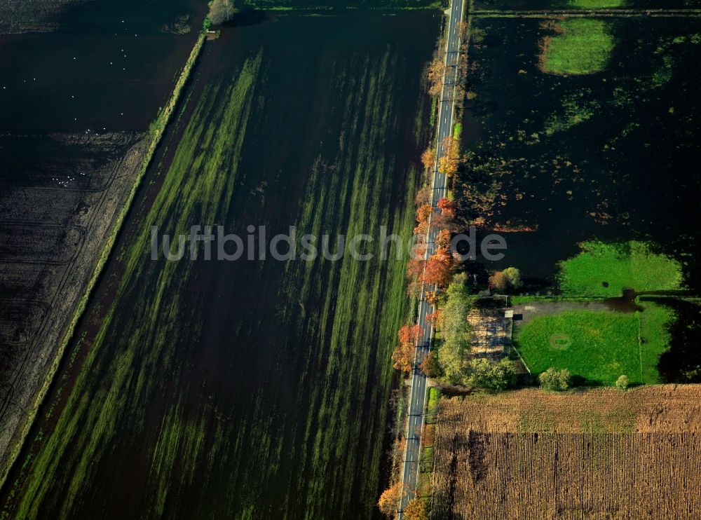 Luftaufnahme Loben - Landschaft des Naturpark Niederlausitzer Heidelandschaft bei Loben im Bundesland Brandenburg