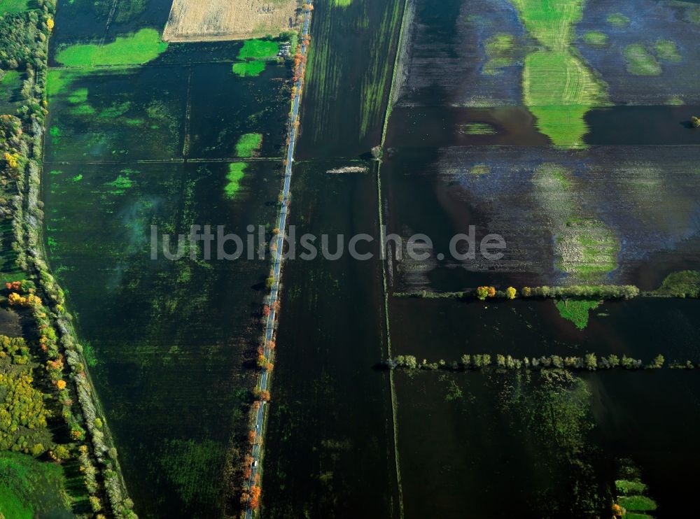 Loben von oben - Landschaft des Naturpark Niederlausitzer Heidelandschaft bei Loben im Bundesland Brandenburg