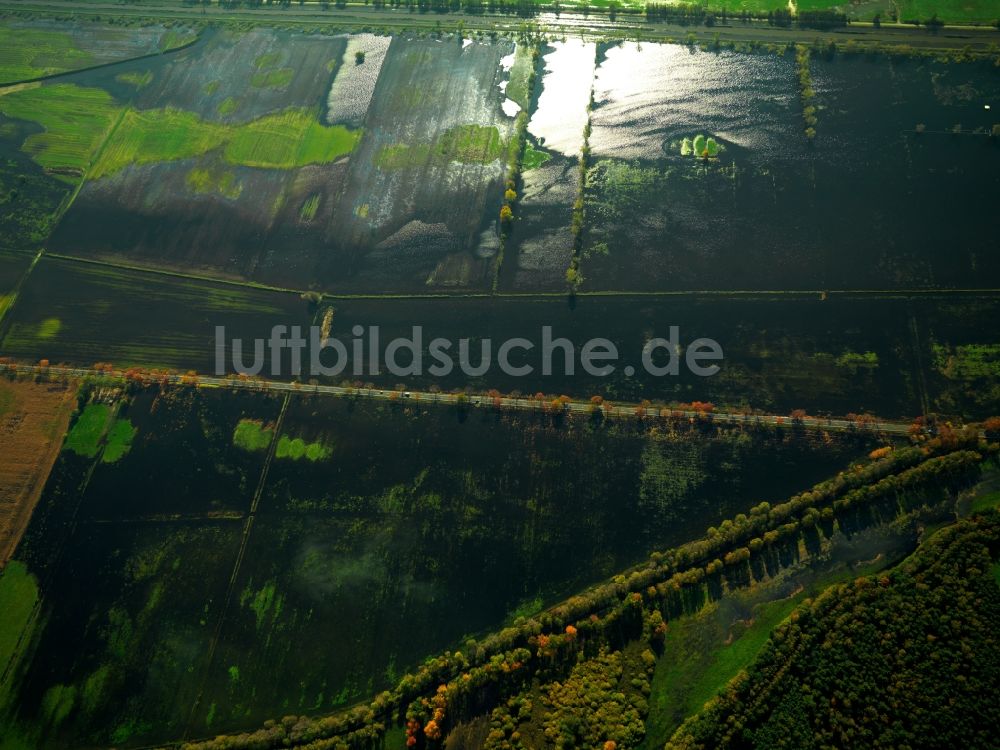 Loben aus der Vogelperspektive: Landschaft des Naturpark Niederlausitzer Heidelandschaft bei Loben im Bundesland Brandenburg