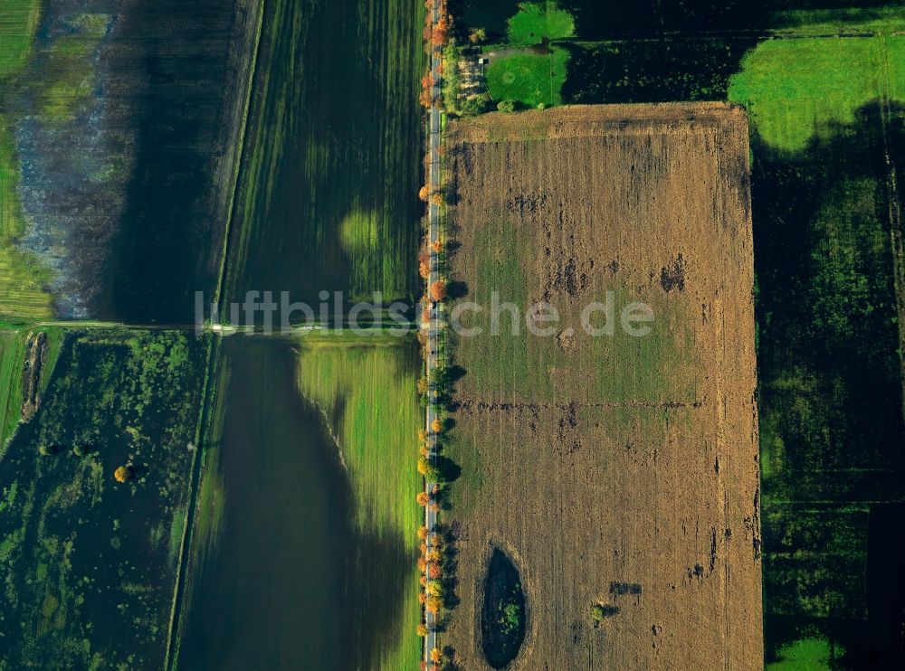 Luftbild Loben - Landschaft des Naturpark Niederlausitzer Heidelandschaft bei Loben im Bundesland Brandenburg