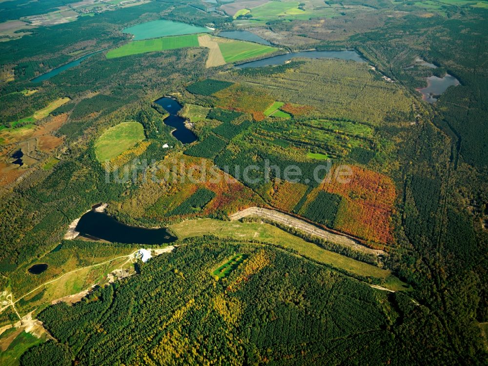 Loben von oben - Landschaft des Naturpark Niederlausitzer Heidelandschaft bei Loben im Bundesland Brandenburg