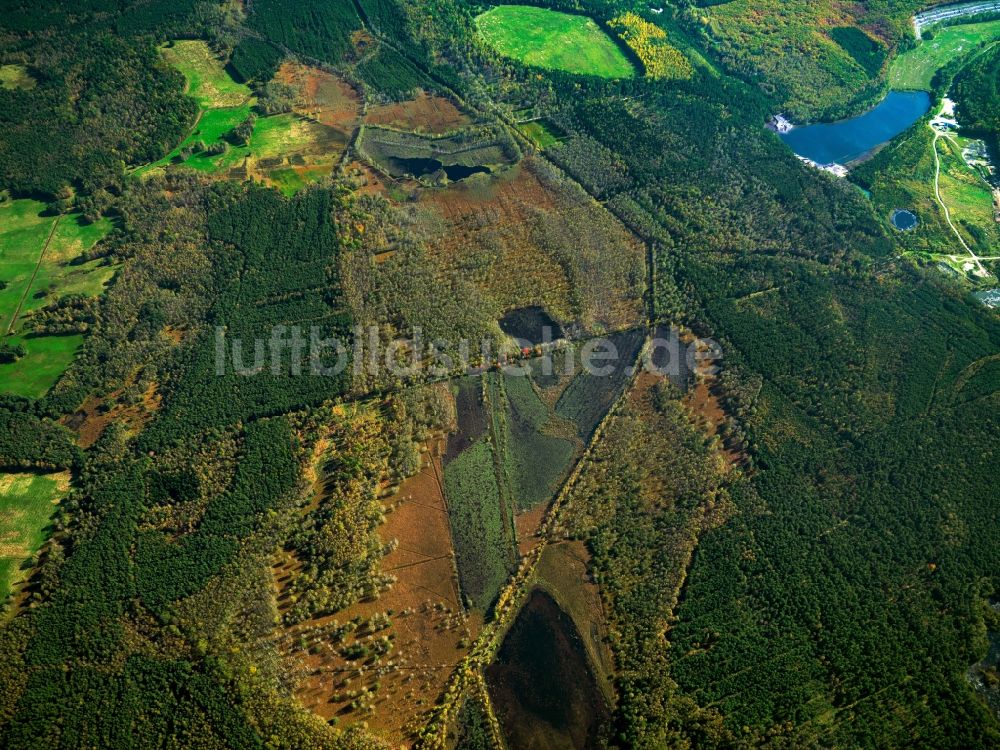 Loben aus der Vogelperspektive: Landschaft des Naturpark Niederlausitzer Heidelandschaft bei Loben im Bundesland Brandenburg