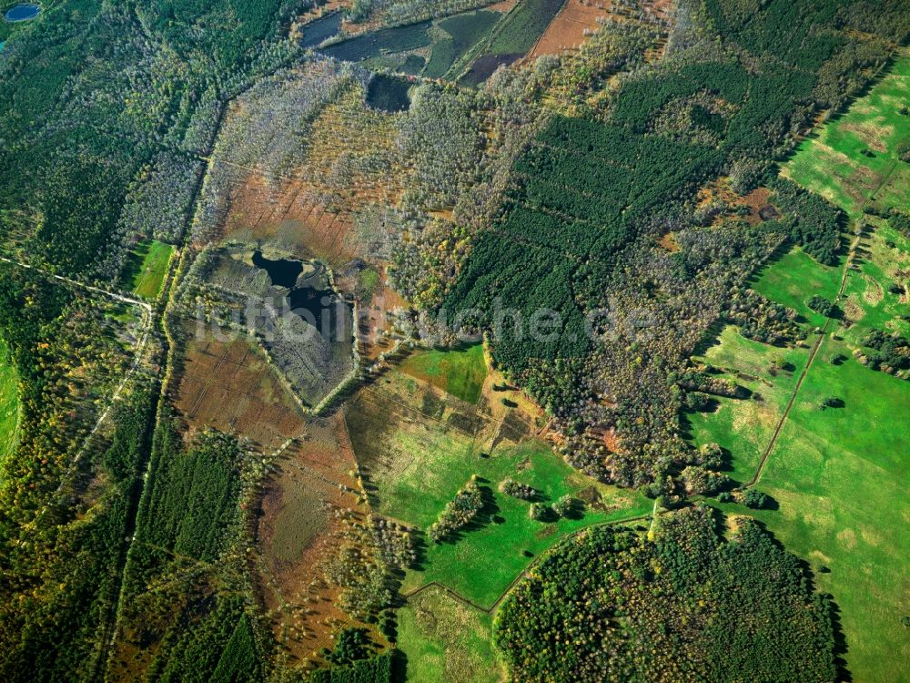 Luftbild Loben - Landschaft des Naturpark Niederlausitzer Heidelandschaft bei Loben im Bundesland Brandenburg