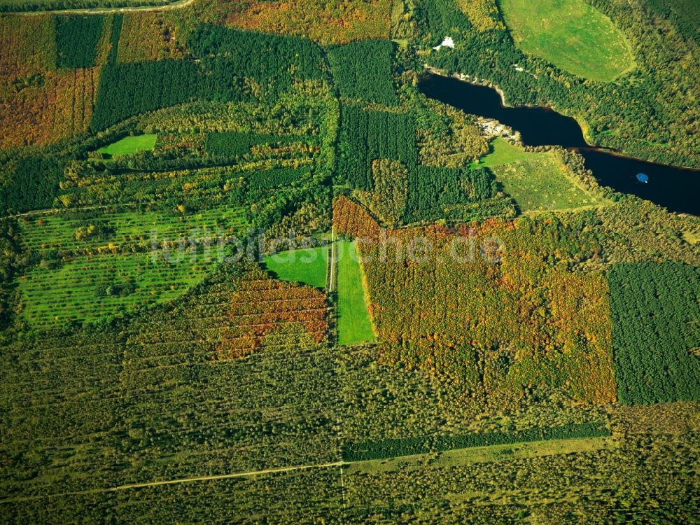 Luftaufnahme Loben - Landschaft des Naturpark Niederlausitzer Heidelandschaft bei Loben im Bundesland Brandenburg