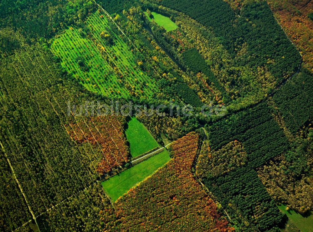 Loben aus der Vogelperspektive: Landschaft des Naturpark Niederlausitzer Heidelandschaft bei Loben im Bundesland Brandenburg