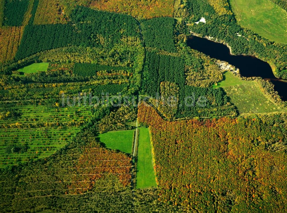 Luftbild Loben - Landschaft des Naturpark Niederlausitzer Heidelandschaft bei Loben im Bundesland Brandenburg