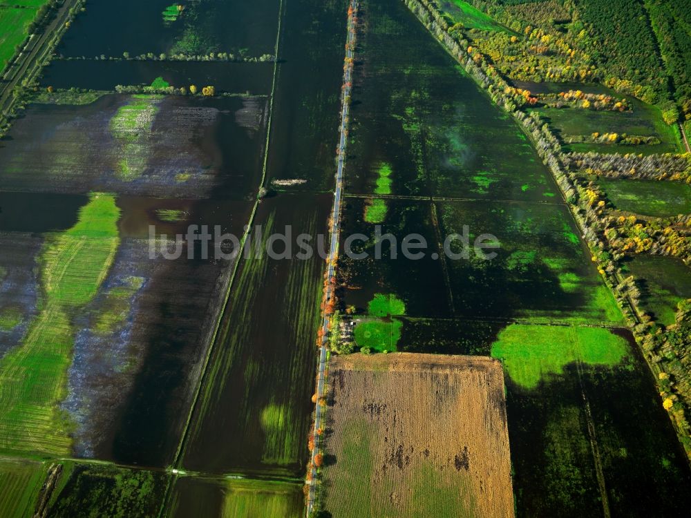 Luftaufnahme Loben - Landschaft des Naturpark Niederlausitzer Heidelandschaft bei Loben im Bundesland Brandenburg