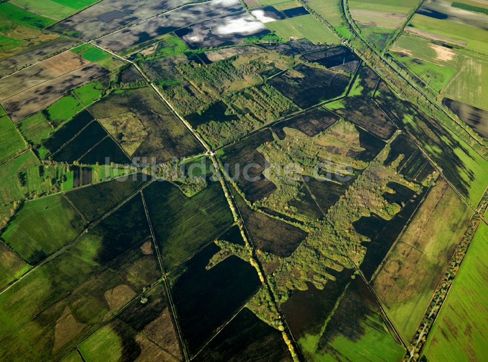 Loben von oben - Landschaft des Naturpark Niederlausitzer Heidelandschaft bei Loben im Bundesland Brandenburg