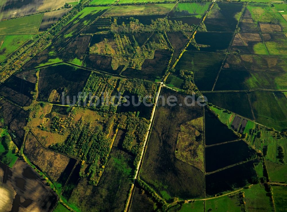 Loben aus der Vogelperspektive: Landschaft des Naturpark Niederlausitzer Heidelandschaft bei Loben im Bundesland Brandenburg