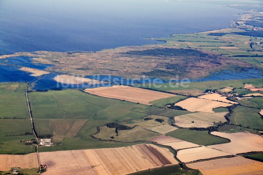 Luftaufnahme Anklam - Landschaft des Naturschutzgebiet Anklamer Stadtbruch in Mecklenburg-Vorpommern