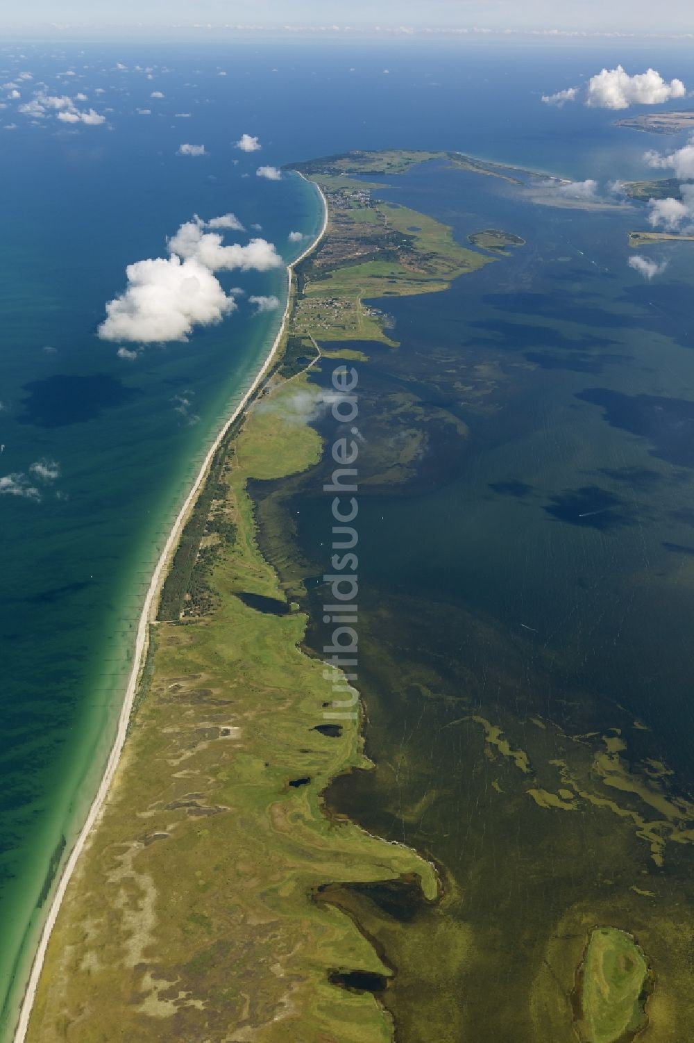 Luftbild Vitte - Landschaft des Naturschutzgebietes Gellen und Gänsewerder an der Ostseeküste auf der Insel Hiddensee bei Vitte im Bundesland Mecklenburg-Vorpommern