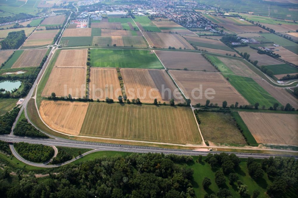 Nackenheim aus der Vogelperspektive: Landschaft im Ortsgebiet der Ortsgemeinde Nackenheim im Bundesland Rheinland-Pfalz