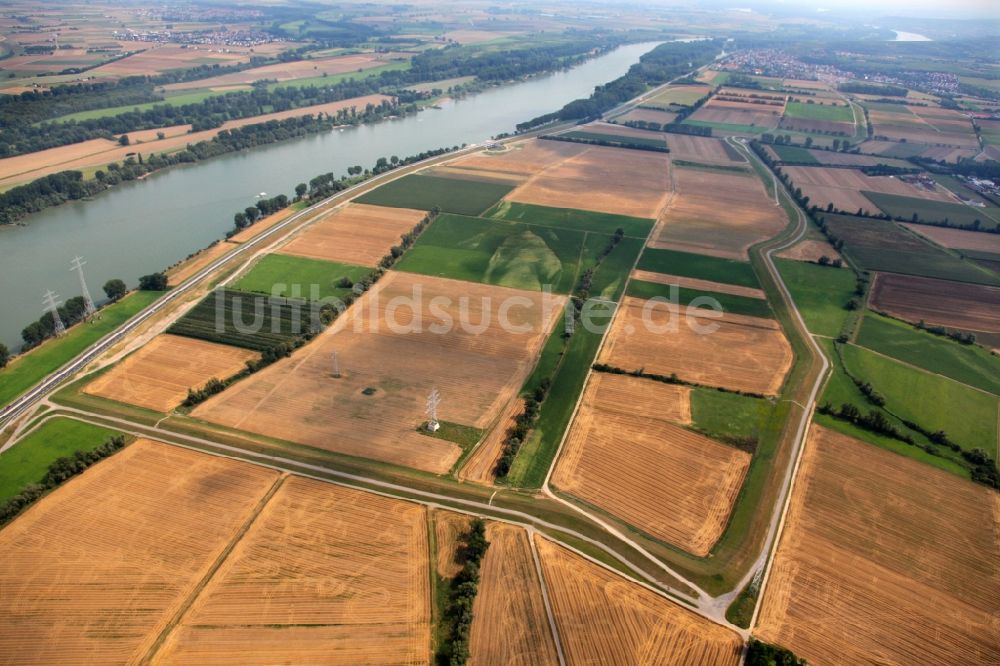 Luftbild Nackenheim - Landschaft im Ortsgebiet der Ortsgemeinde Nackenheim im Bundesland Rheinland-Pfalz