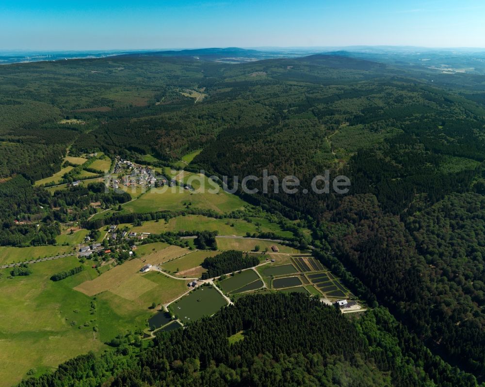 Börfink von oben - Landschaft um die Ortsgemeinde Börfink im Bundesland Rheinland-Pfalz