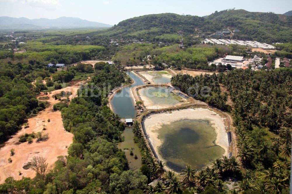 Luftaufnahme Pa Klok - Landschaft mit Palmen und Fischteichen in Pa Klok auf der Insel Phuket in Thailand