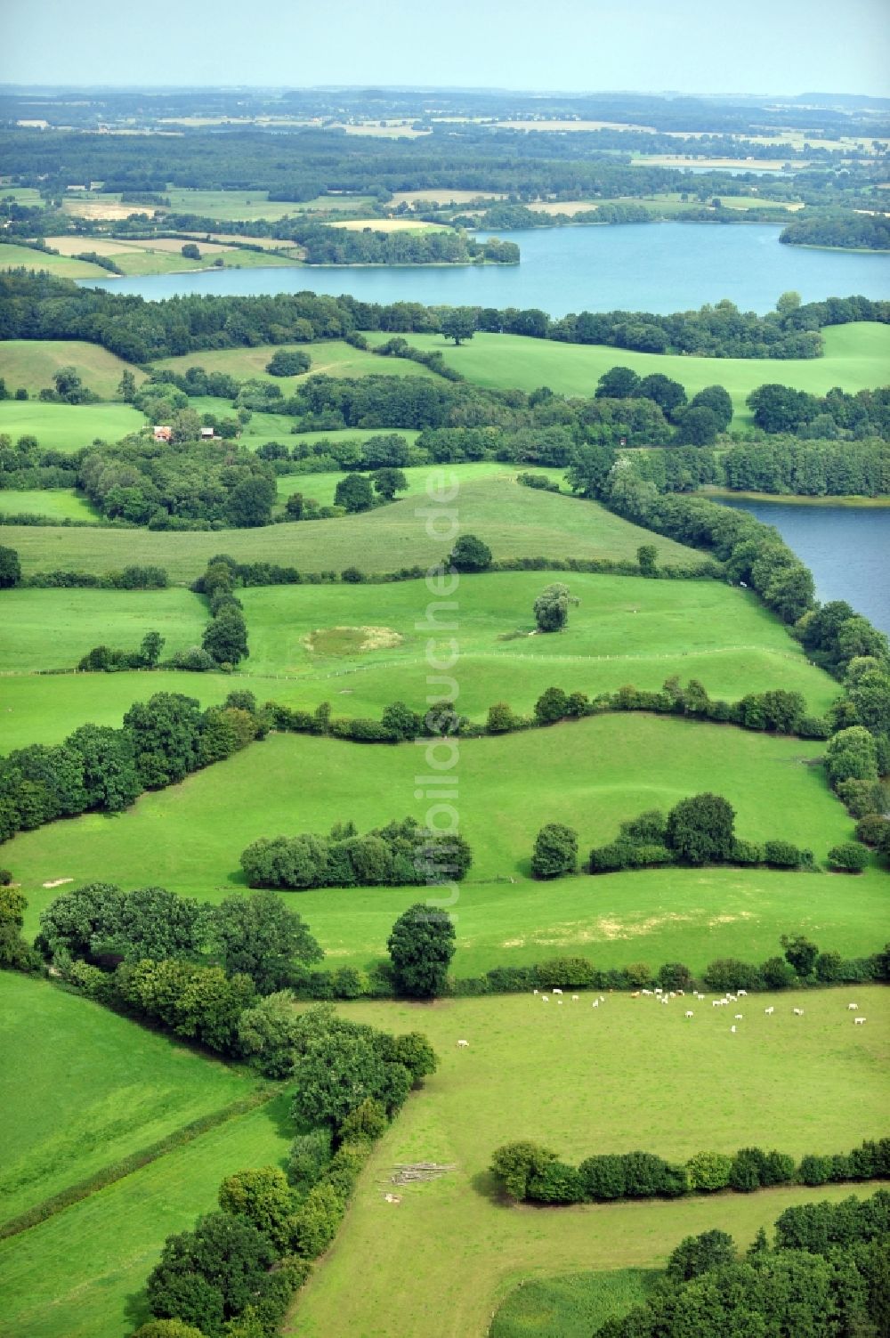 Plön aus der Vogelperspektive: Landschaft in Plön im Bundesland Schleswig-Holstein