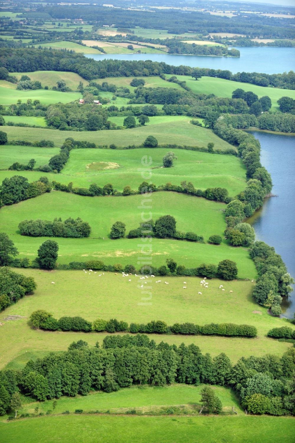 Luftbild Plön - Landschaft in Plön im Bundesland Schleswig-Holstein