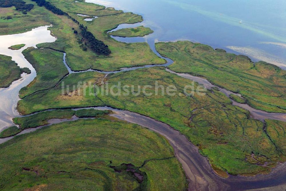 Pramort von oben - Landschaft vor dem Schaproder Bodden