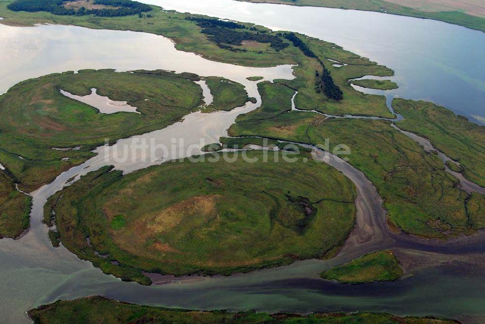 Luftbild Pramort - Landschaft vor dem Schaproder Bodden