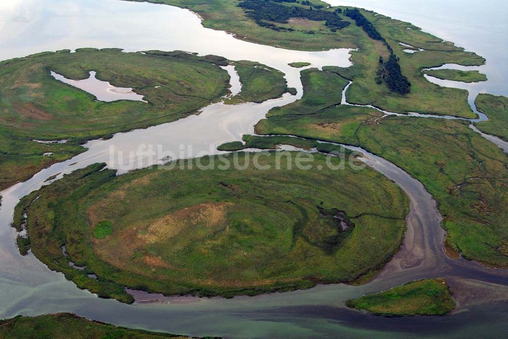 Luftaufnahme Pramort - Landschaft vor dem Schaproder Bodden