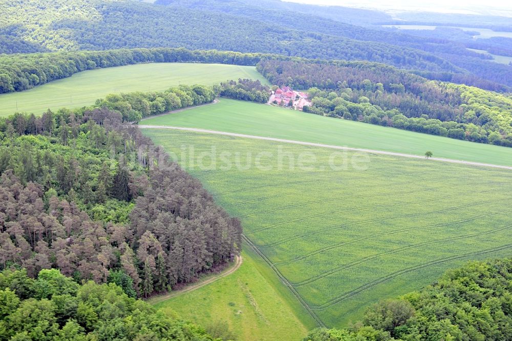 Luftaufnahme Katharinenberg - Landschaft um Schierschwende in Thüringen