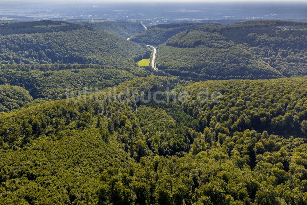 Horn-Bad Meinberg von oben - Landschaft des Schlänger Bach als Zufluß zur Lippe im Teutoburger Wald im Eggegebirge in Ostwestfalen im Bundesland Nordrhein-Westfalen