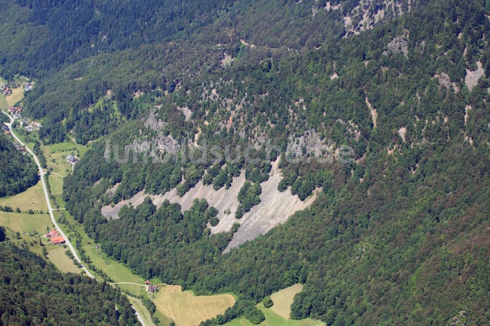 Luftaufnahme Oberried - Landschaft im Schwarzwald mit Zastlertal in Oberried im Bundesland Baden-Württemberg