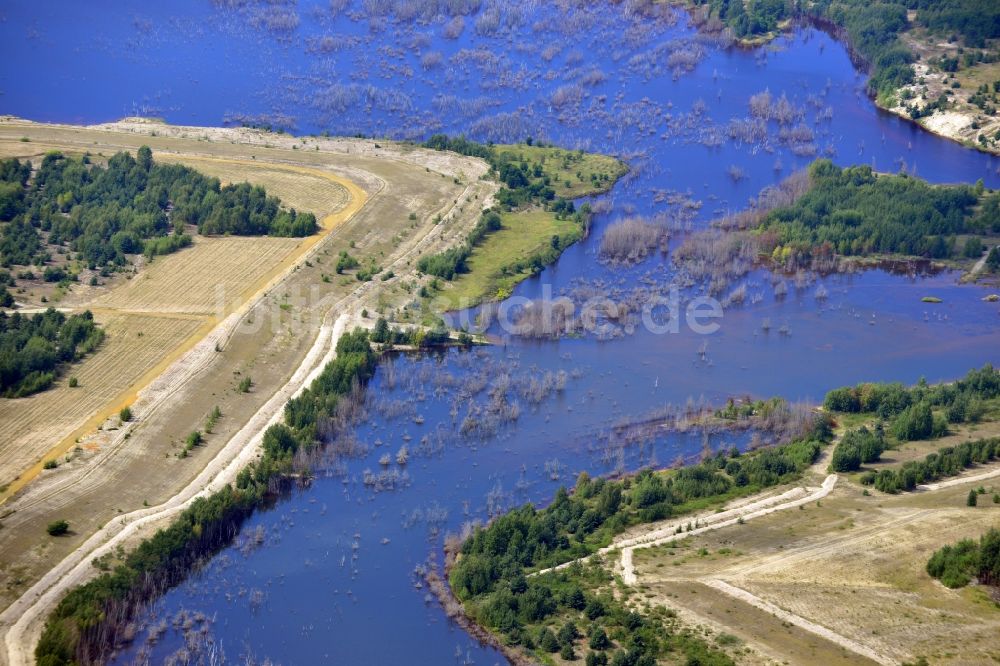 Senftenberg aus der Vogelperspektive: Landschaft am Sedlitzer See in Senftenberg im Bundesland Brandenburg